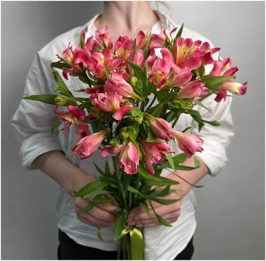 Sweet Pink альстромерия