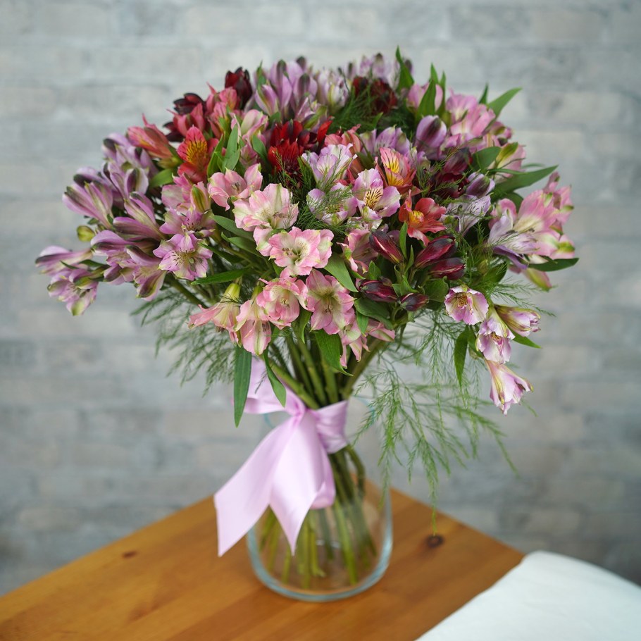 Альстромерия Alstroemeria Majestic Henri