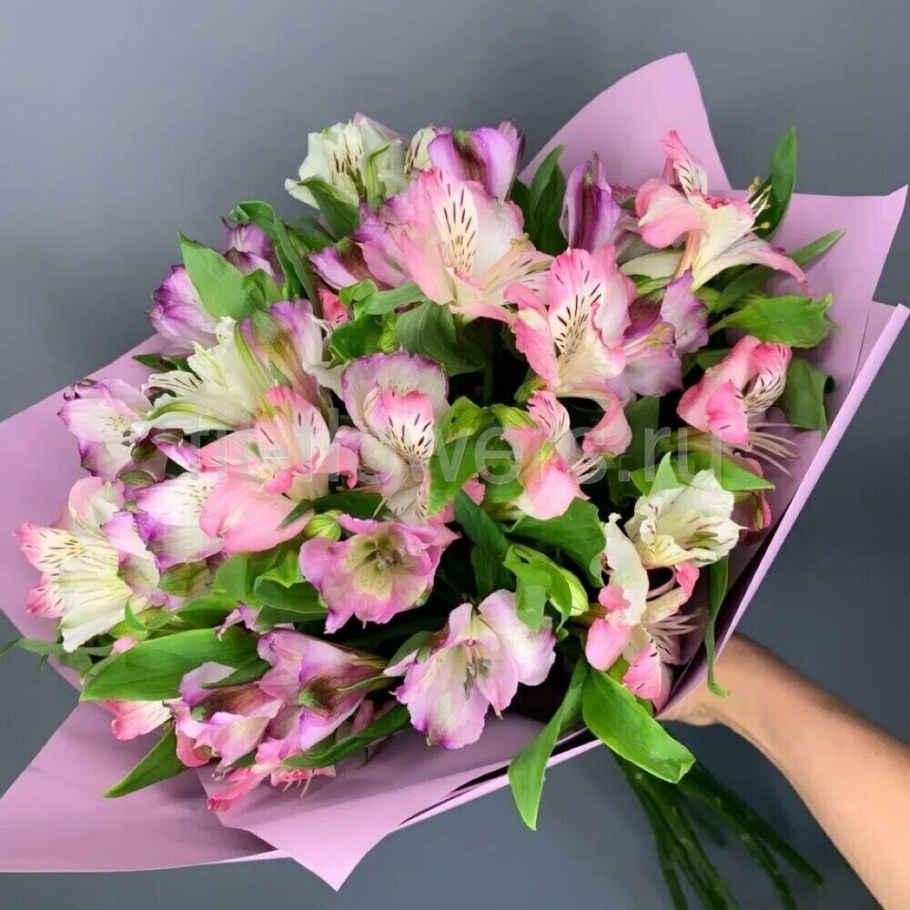 Альстромерии Монобукет