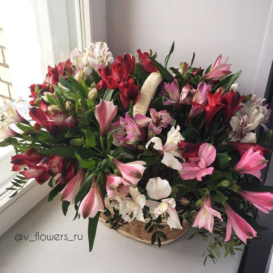 Корзина из альстромерий