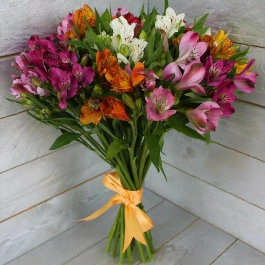 Астельмерия букет