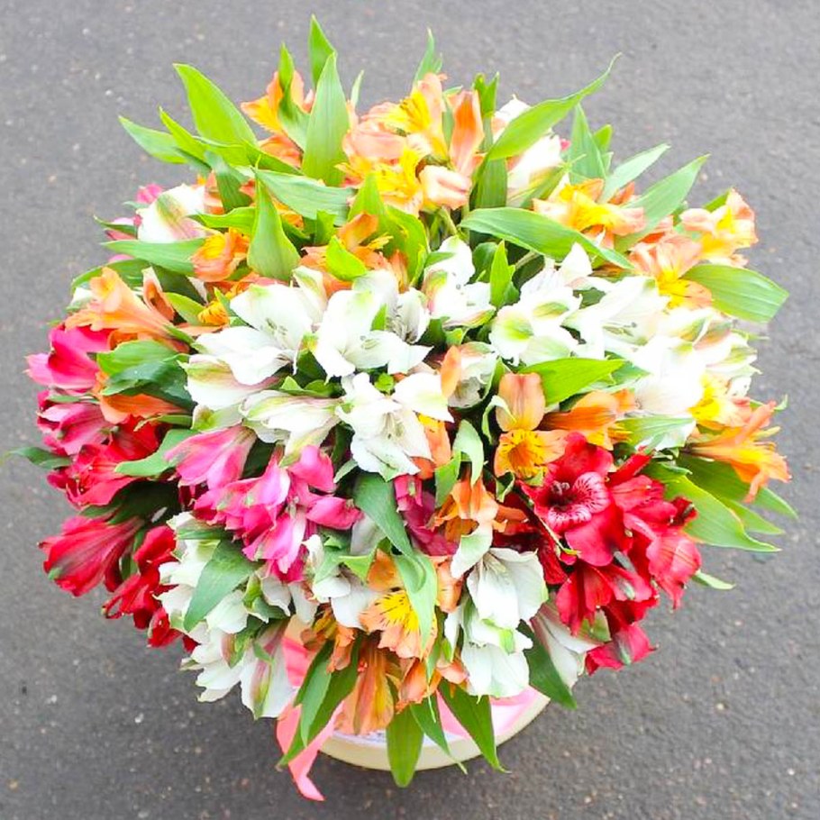 Цветы в букете альстромерия