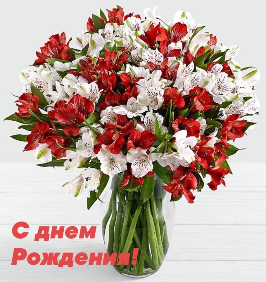 Астельмерия красная