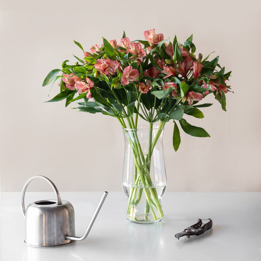 Лисицкая цветы для интерьера