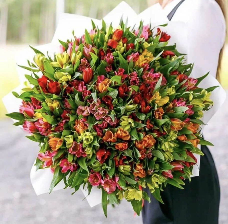 Альстромерия микс букет