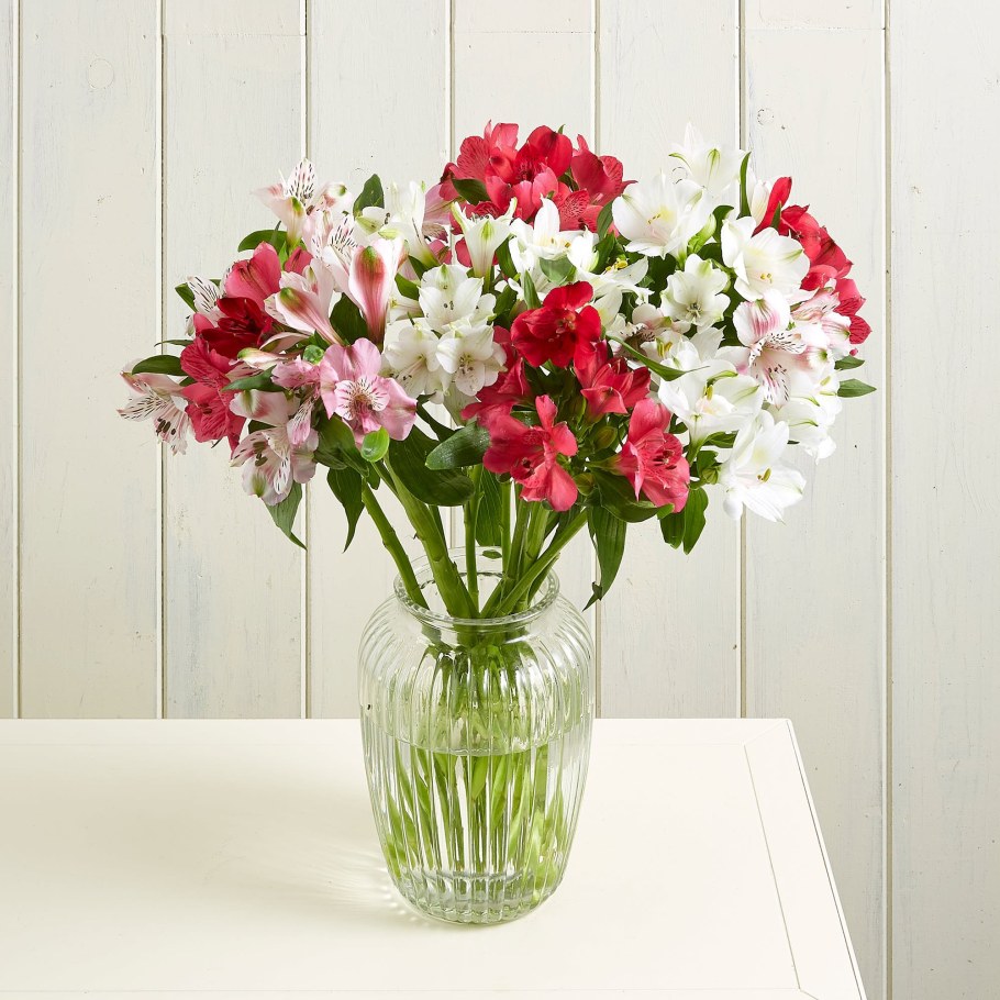 Букет «альстромерия»