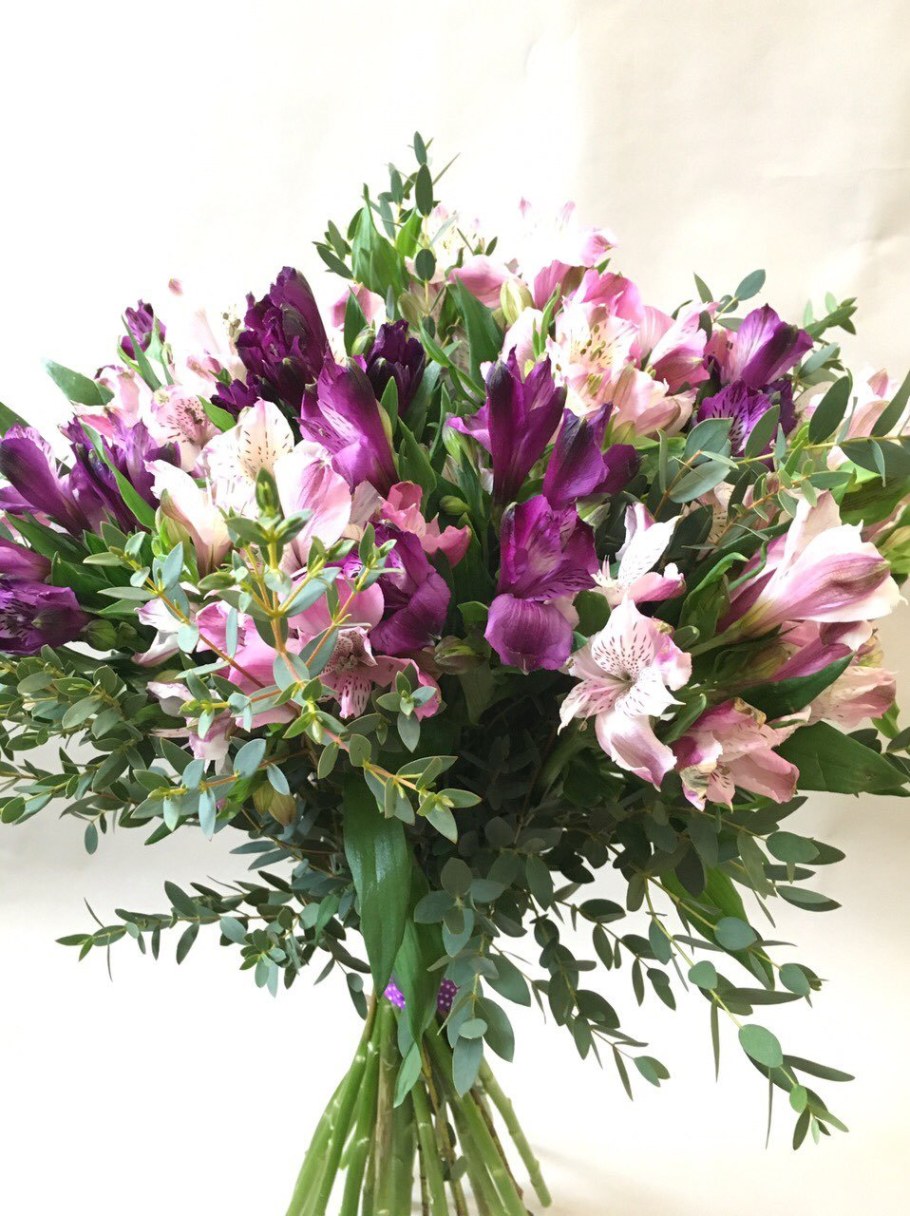 Альстромерия Фунза