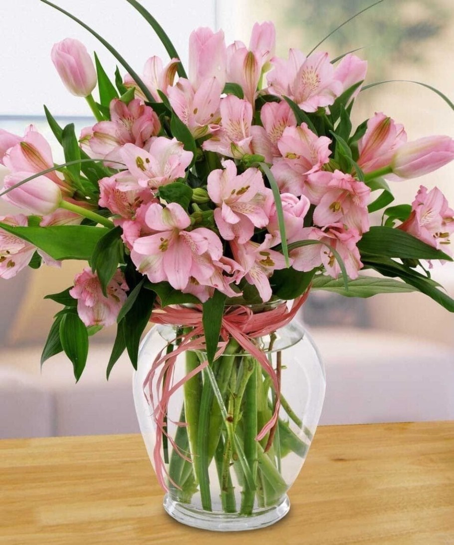 Альстромерия Фунза