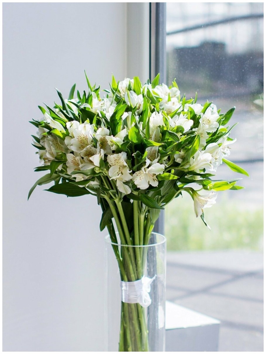 Монобукет альстромерий