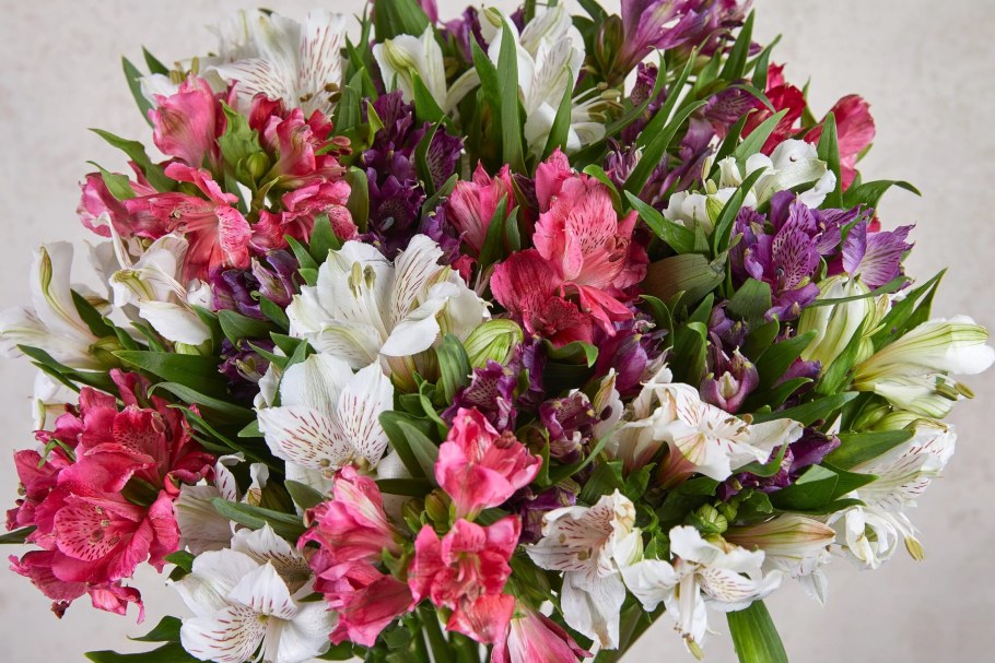 Цветы в букете альстромерия
