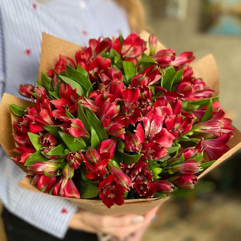 Красные альстромерии букет