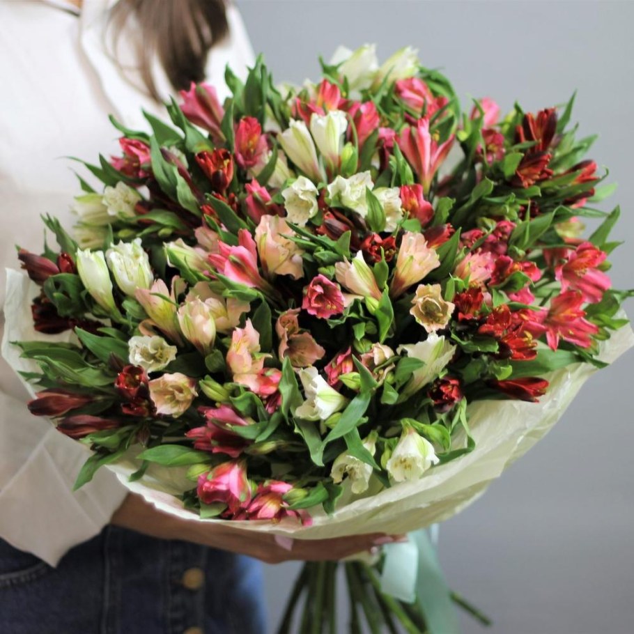 Альстромерии Монобукет