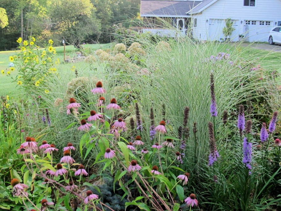 Лиатрис Кобольд