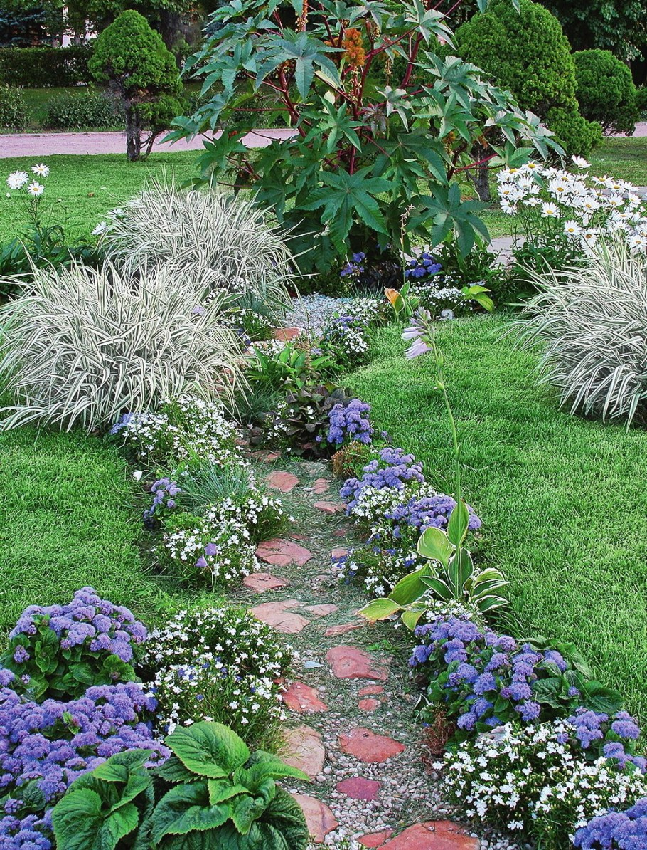 Агератум на клумбе