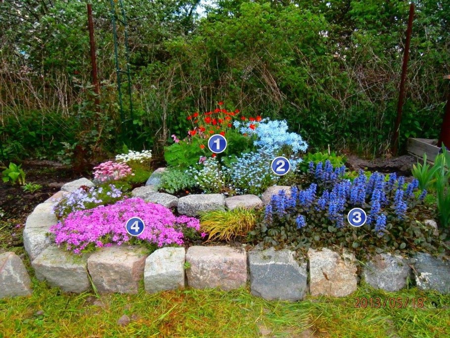 Флокс шиловидный на клумбе