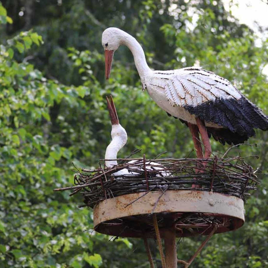 Гнездо аистов