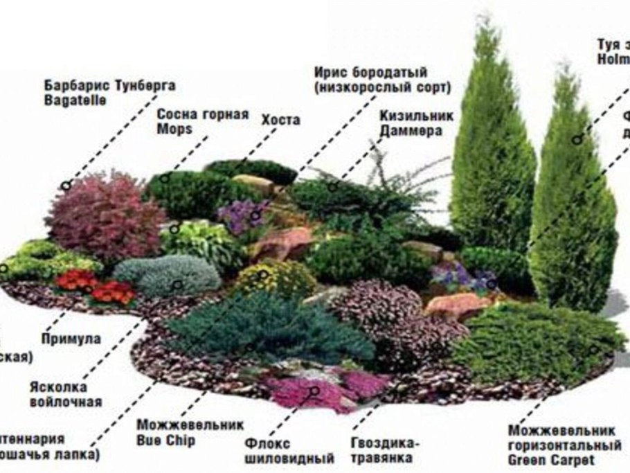 Миксбордер рокарий