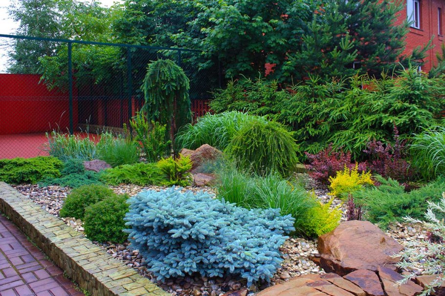 Ель Глаука Глобоза в рокарии