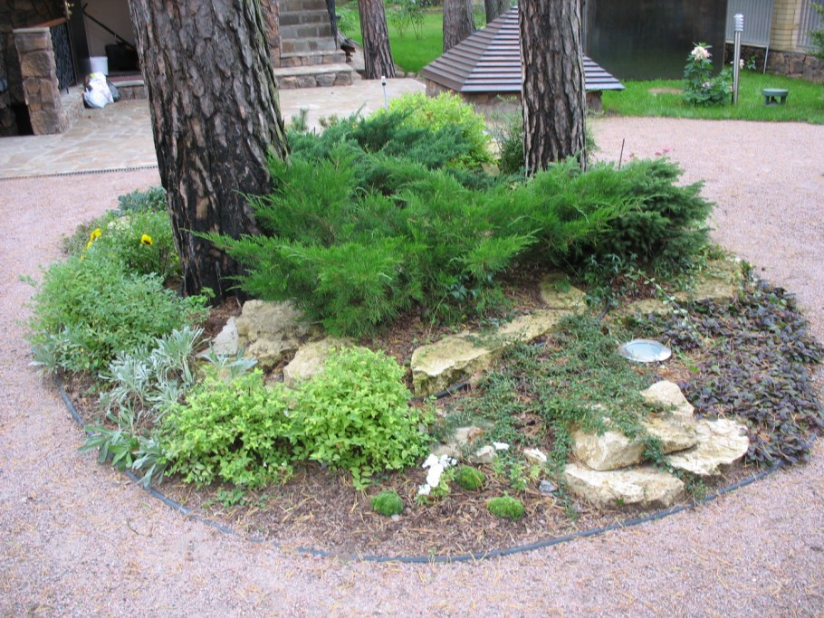 Альпийская горка Хоста можжевельник