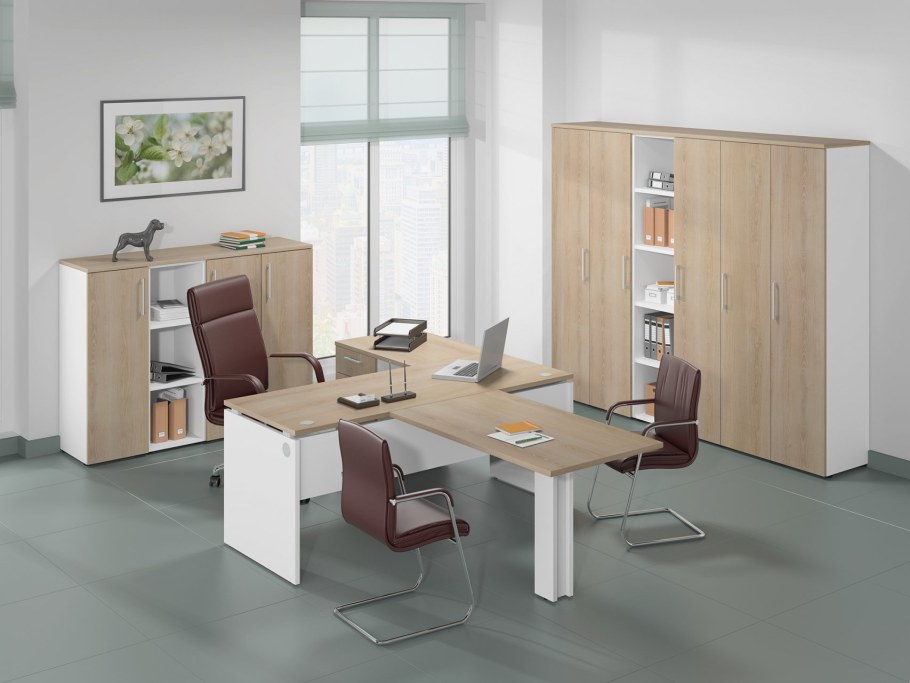 Кабинет руководителя Модерн Шамони темный