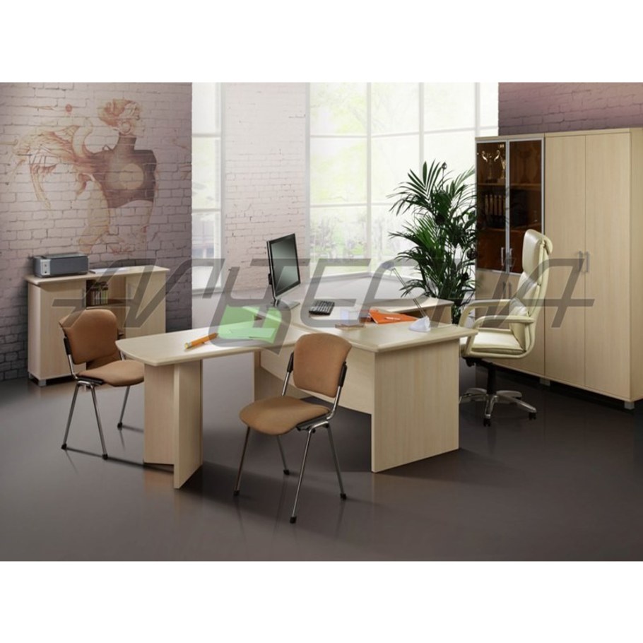 Премиум кабинет руководителя Альтерна