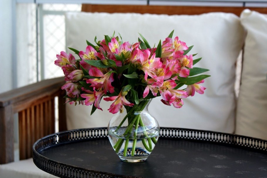 Альстромерия цветы