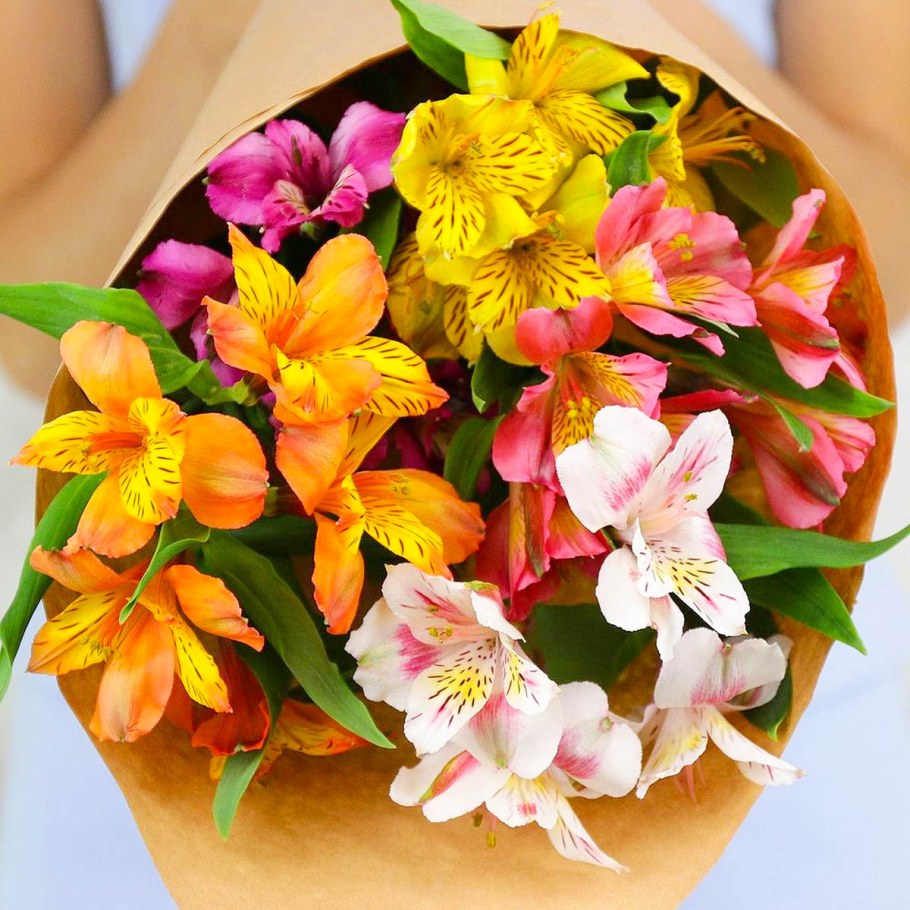 Альстромерия Батиан микс