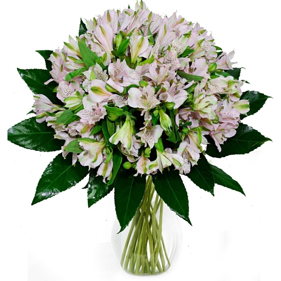 Альстромерии Монобукет