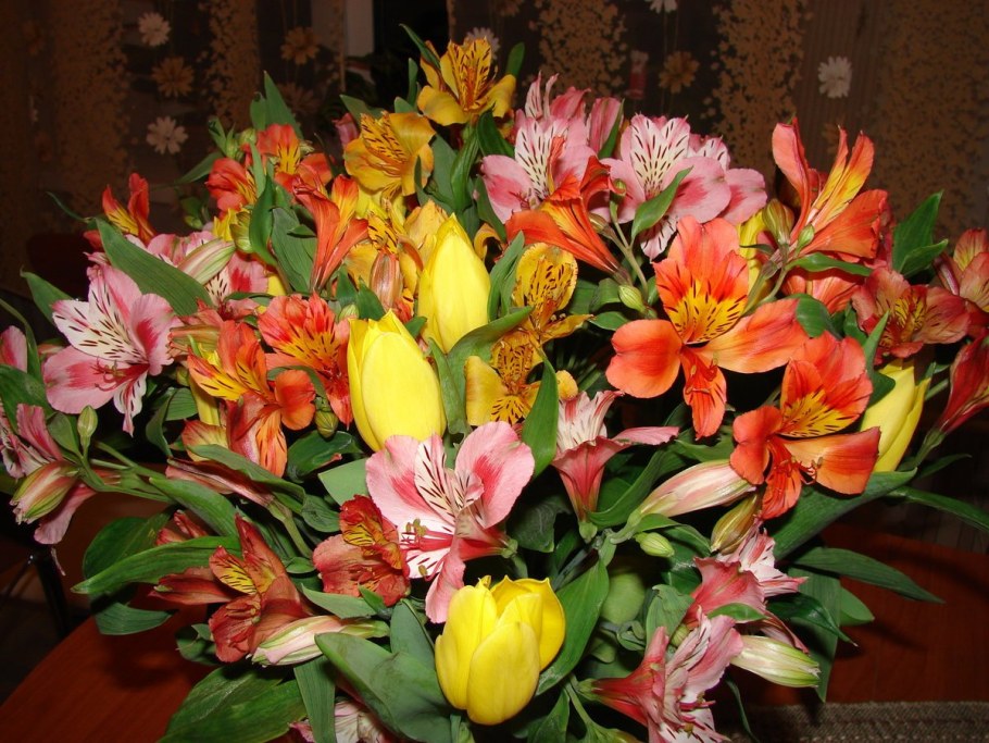 Цветы астельмерия