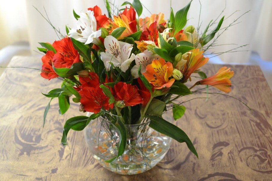 Долгостоящие цветы альстромерия