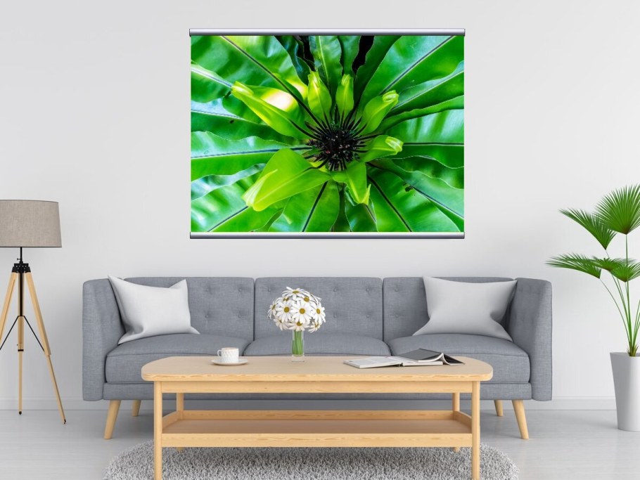 Картина папоротник в интерьере