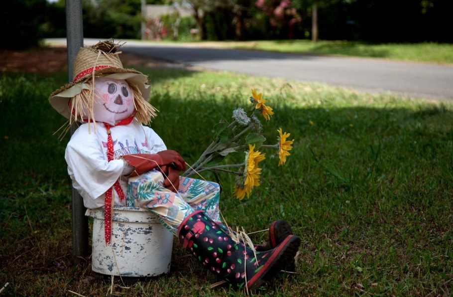 Чучело для сада