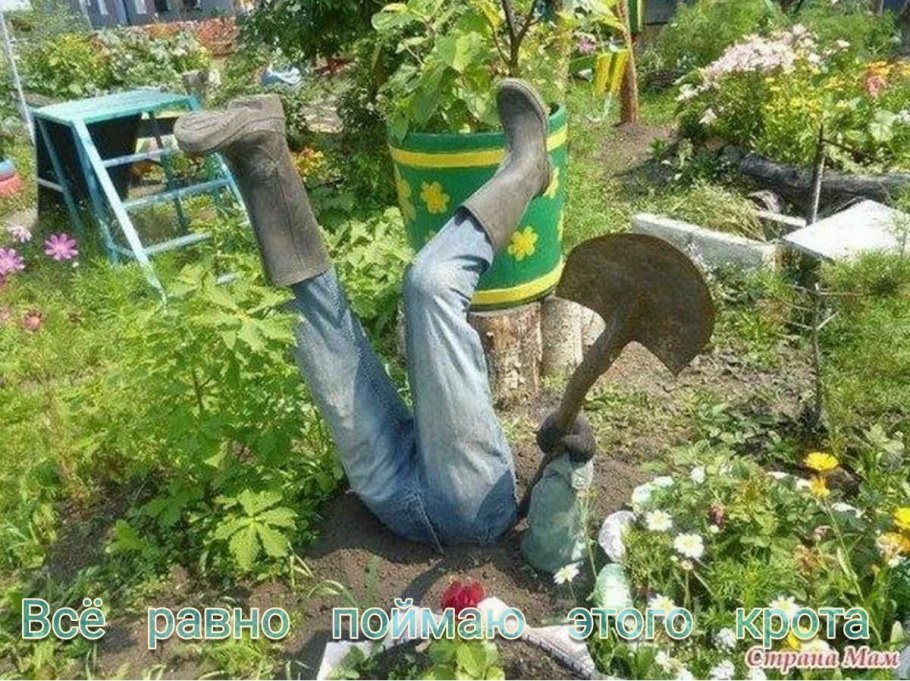 Интересные дачные идеи