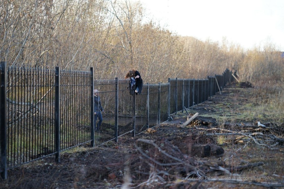 Дачный антивандальный забор