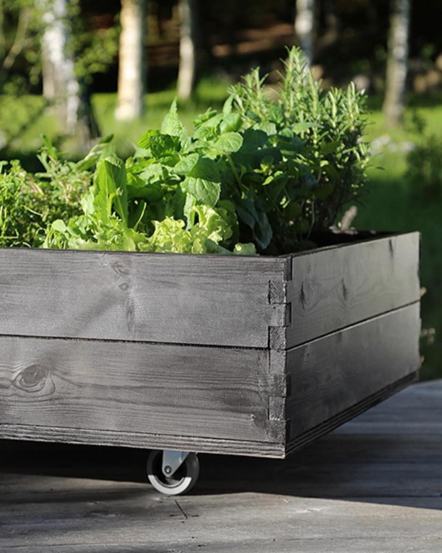 Ящики для грядок деревянные