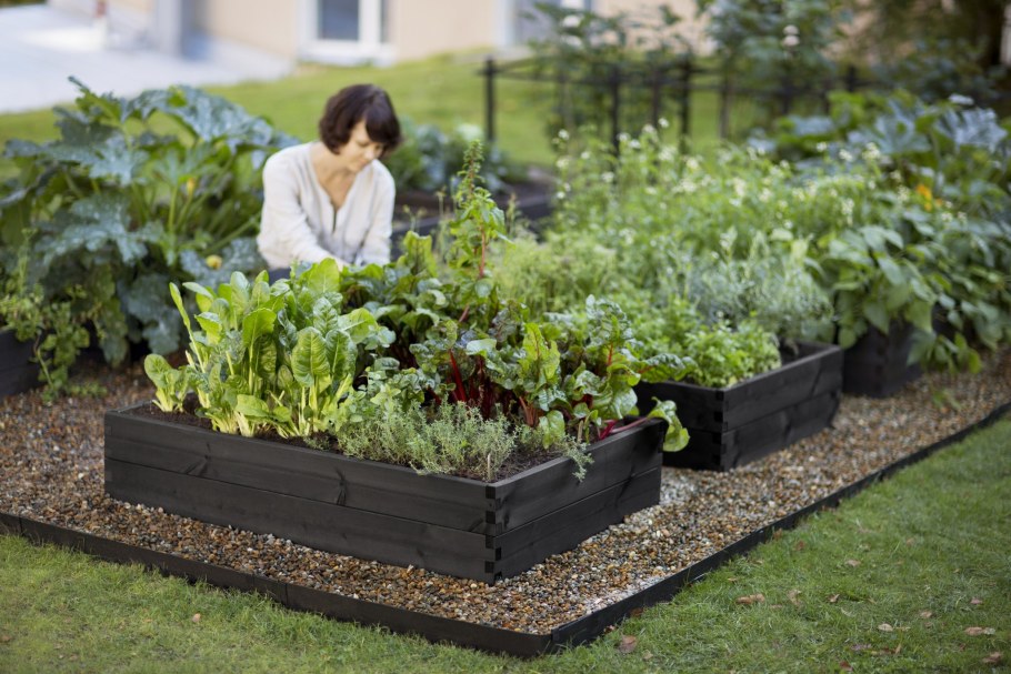 Необычные грядки