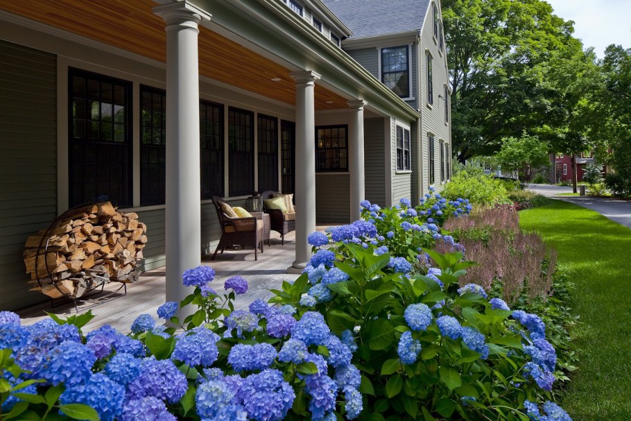 Рабатка с гортензией