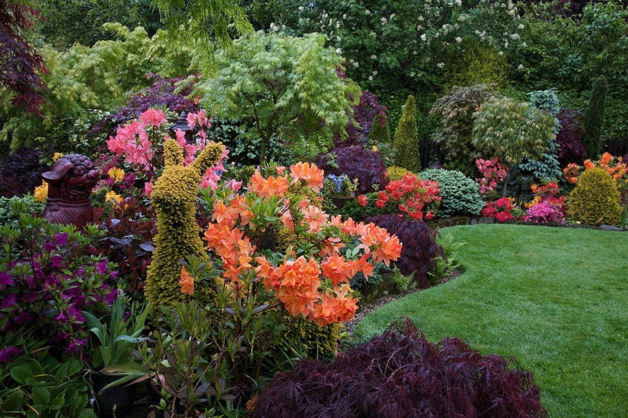 Английский сад розарий