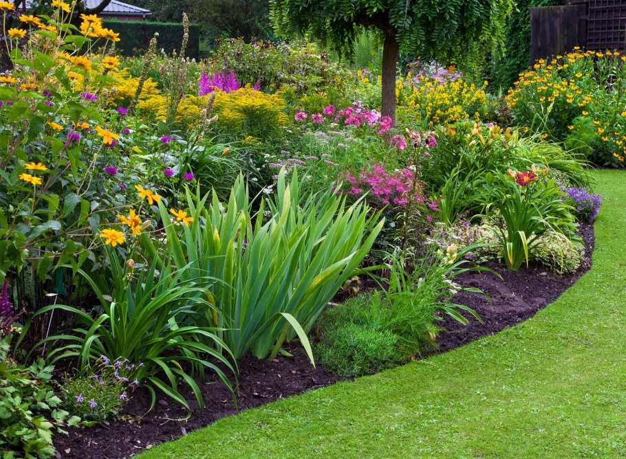 Миксбордер Хайди Клум