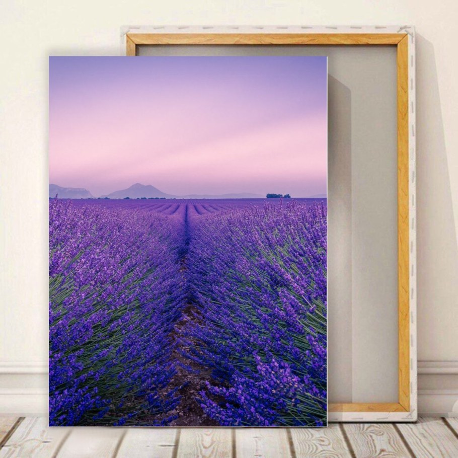 Картина Лаванда