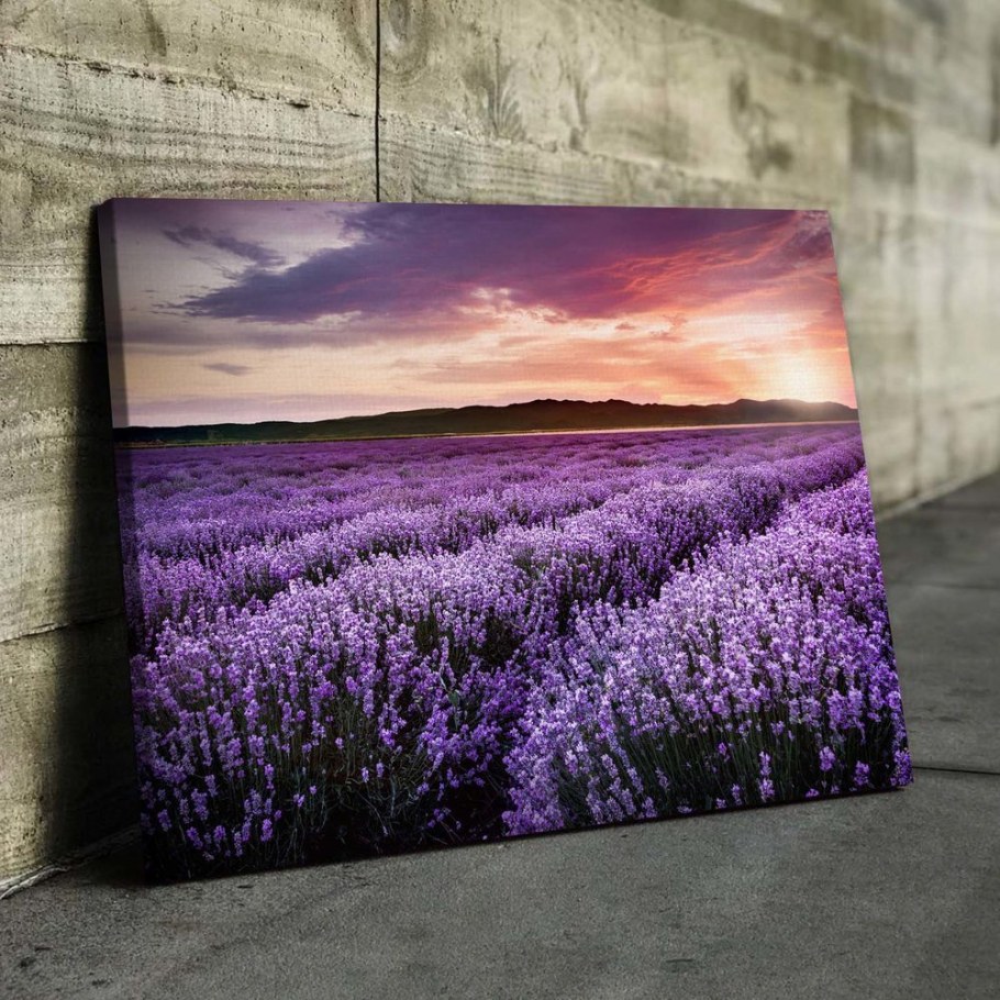 Абрау Дюрсо Лавандовые поля