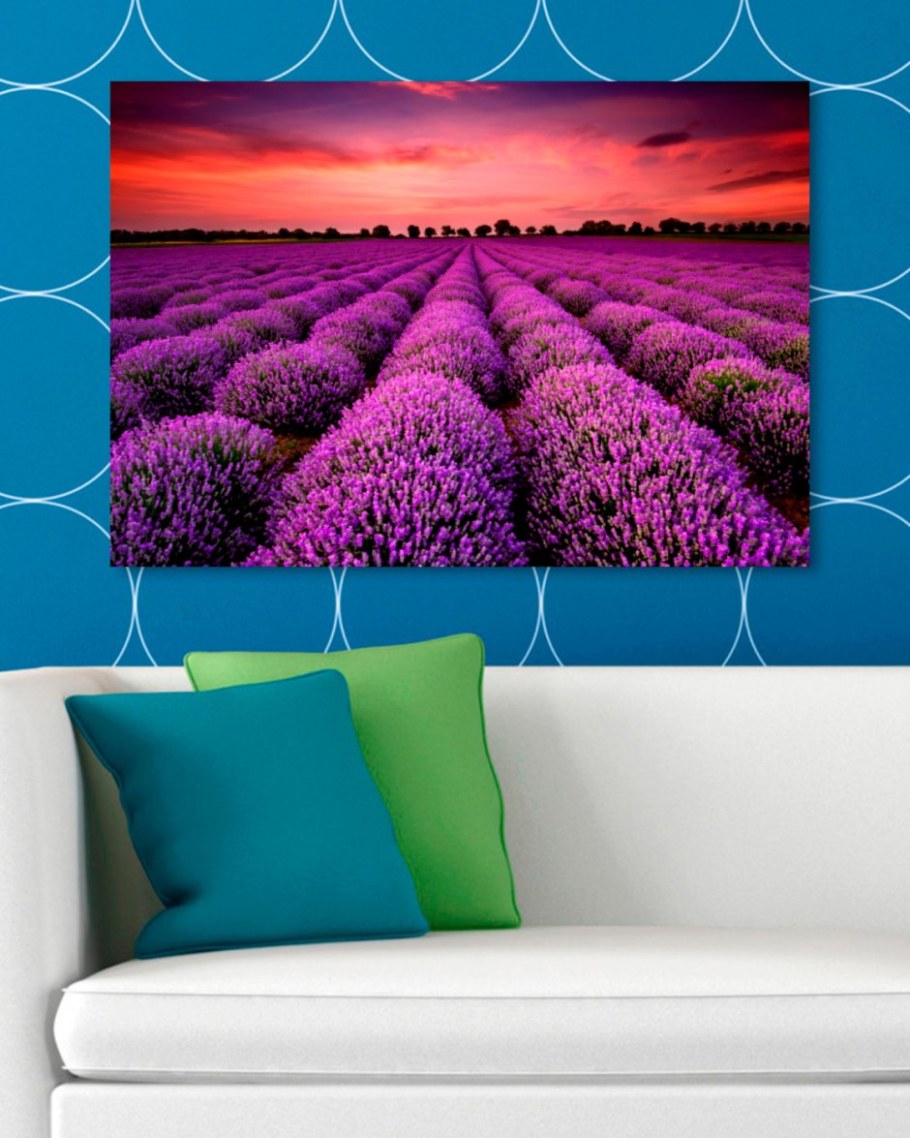 Лавандовые поля Манэ