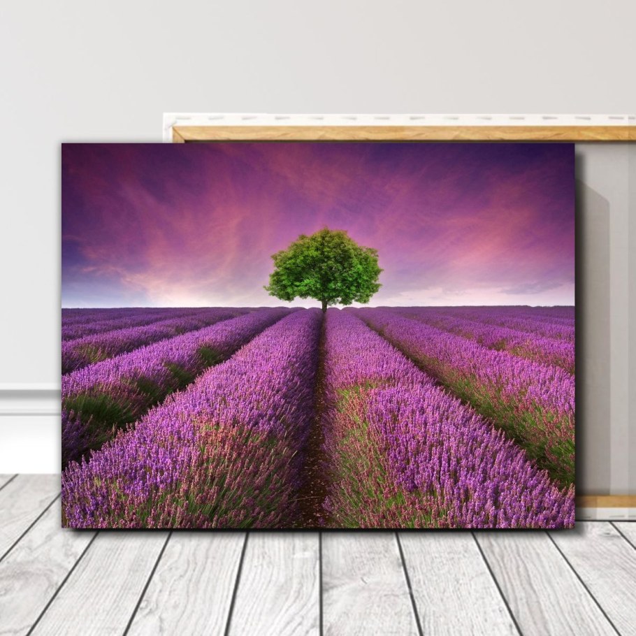 Давнда интерьерная картина