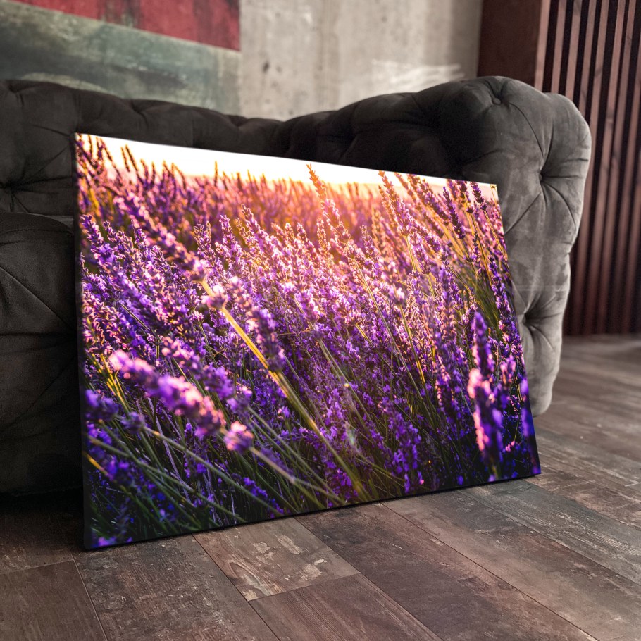 Картины с лавандой в интерьере