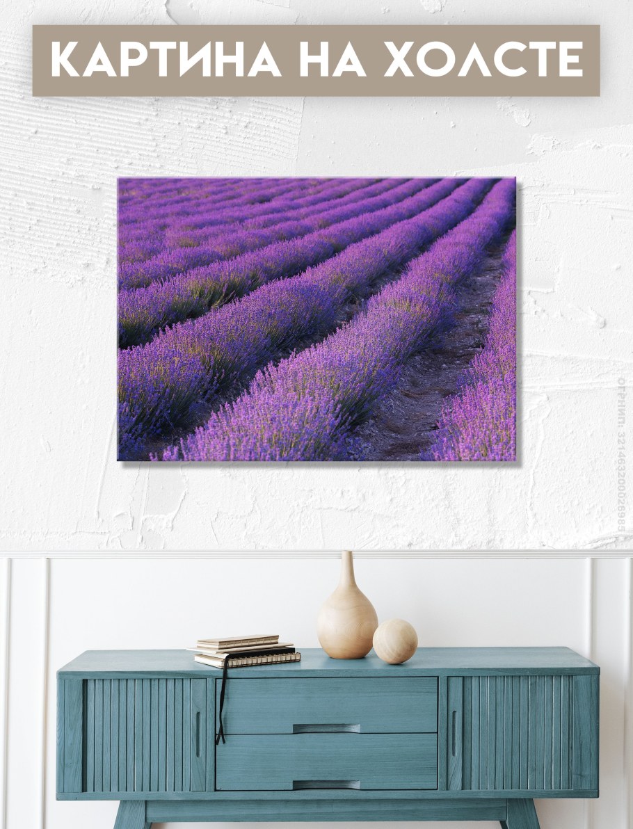 Интерьерные постеры Лаванда