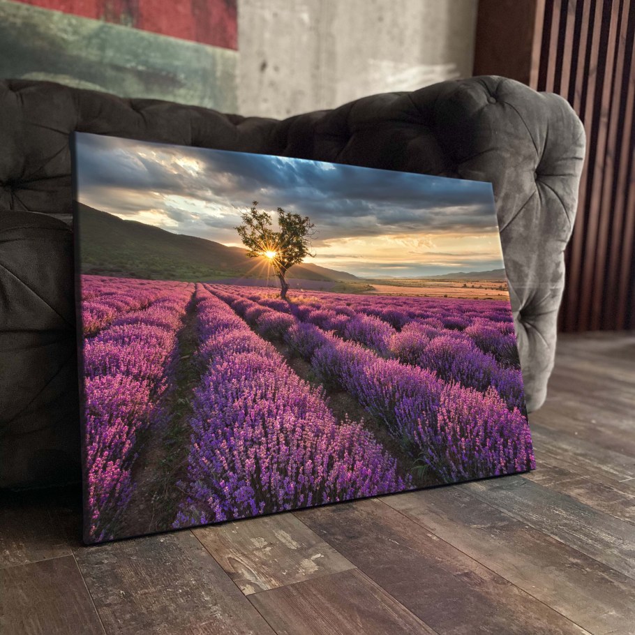 Картина Лавандовое поле в интерьере
