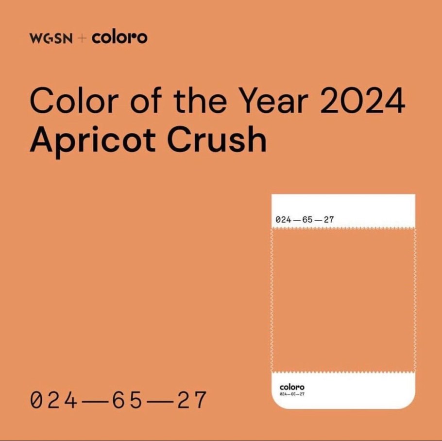 Цвет года 2024 Pantone Apricot Crush