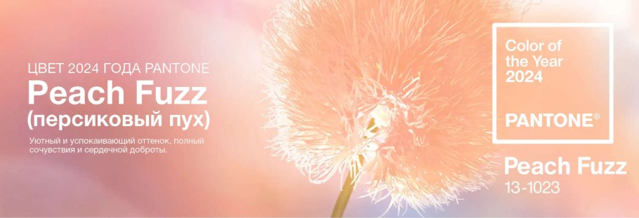 Пантон 2024