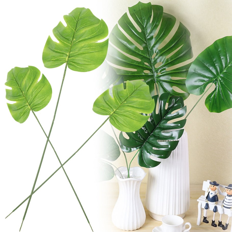 Монстера силтепекана