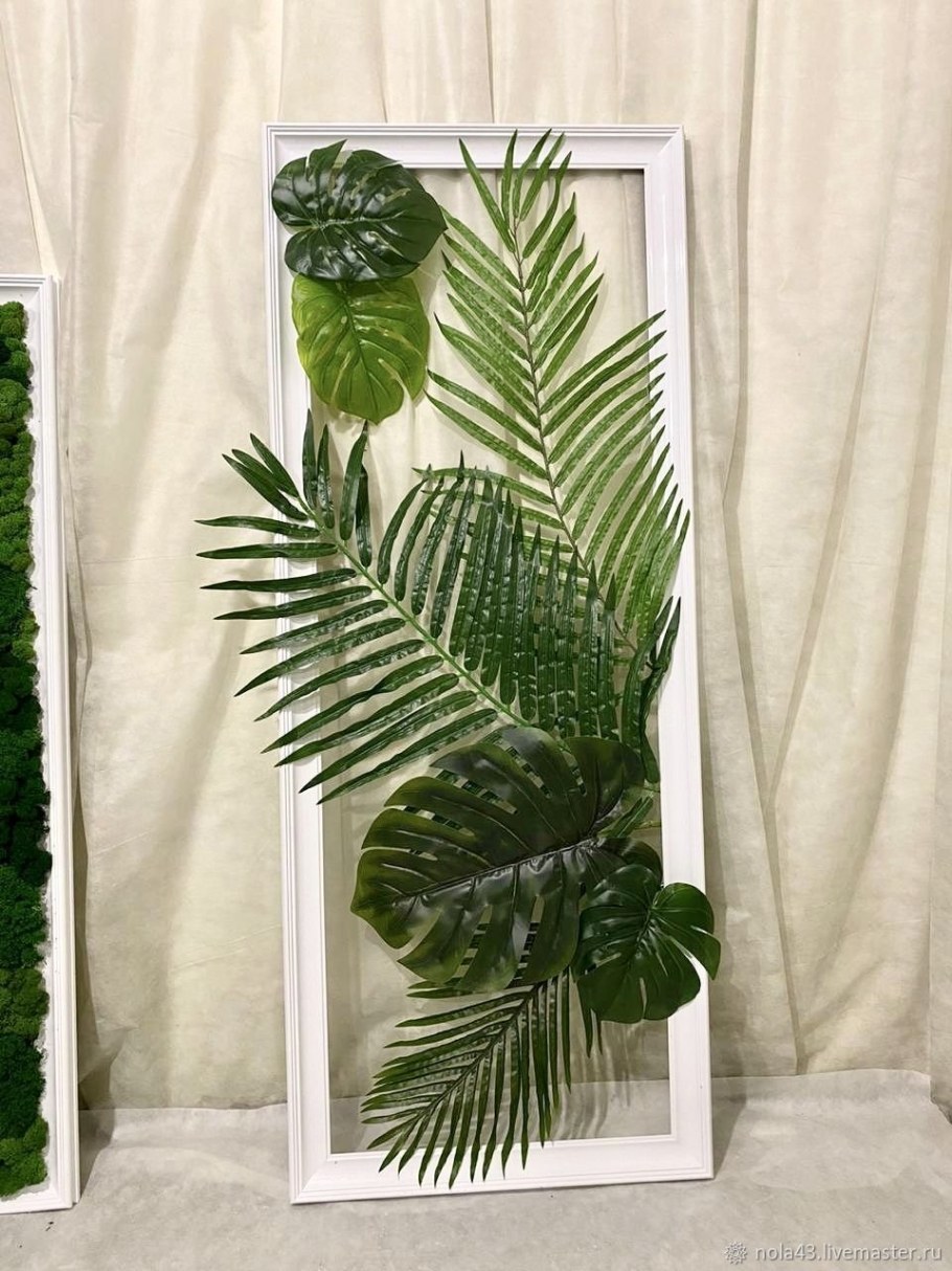 Пальма монстера